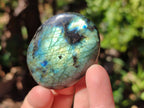 Polished Labradorite Galets x 12 From Tulear, Madagascar - Toprock Gemstones and Minerals 