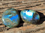 Polished Labradorite Galets x 12 From Tulear, Madagascar - Toprock Gemstones and Minerals 