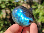 Polished Labradorite Galets x 12 From Tulear, Madagascar - Toprock Gemstones and Minerals 