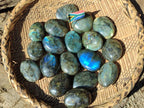 Polished Labradorite Galets x 12 From Tulear, Madagascar - Toprock Gemstones and Minerals 