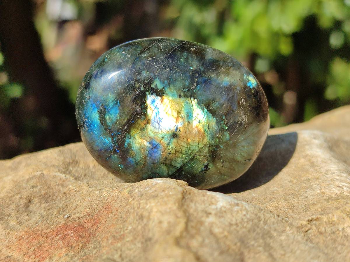 Polished Labradorite Galets x 12 From Tulear, Madagascar - Toprock Gemstones and Minerals 