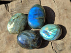 Polished Labradorite Galets x 12 From Tulear, Madagascar - Toprock Gemstones and Minerals 