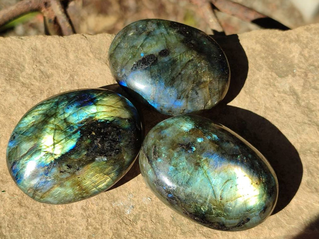 Polished Labradorite Galets x 12 From Tulear, Madagascar - Toprock Gemstones and Minerals 