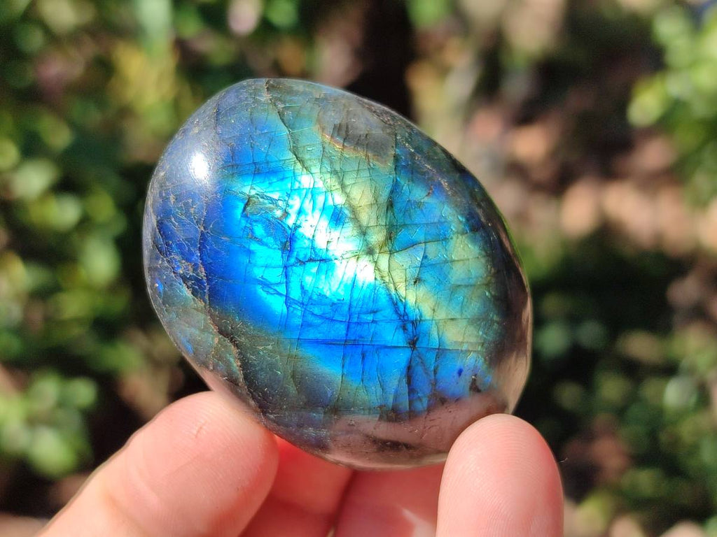 Polished Labradorite Galets x 12 From Tulear, Madagascar - Toprock Gemstones and Minerals 
