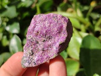 Natural Stichtite Cobbed Specimens x 35 From Barberton, South Africa