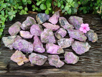 Natural Stichtite Cobbed Specimens x 35 From Barberton, South Africa