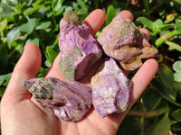 Natural Stichtite Cobbed Specimens x 35 From Barberton, South Africa