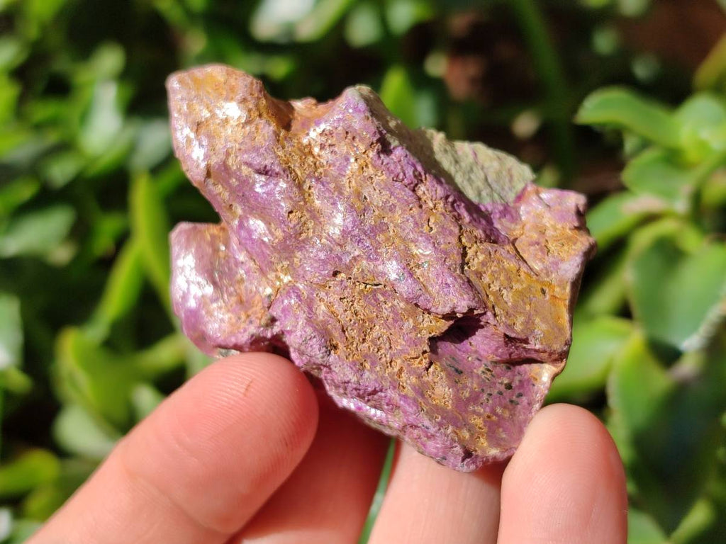 Natural Stichtite Cobbed Specimens x 35 From Barberton, South Africa - Toprock Gemstones and Minerals 