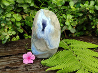 Polished Blue Lace Agate Standing Free Form x 1 From Nsanje, Malawi