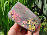 Polished Rare Purple Labradorite Standing Free Forms x 3 From Tulear, Madagascar