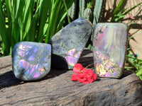 Polished Rare Purple Labradorite Standing Free Forms x 3 From Tulear, Madagascar