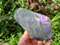 Polished Rare Purple Labradorite Standing Free Forms x 3 From Tulear, Madagascar