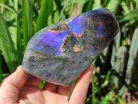 Polished Rare Purple Labradorite Standing Free Forms x 3 From Tulear, Madagascar