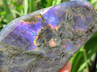 Polished Rare Purple Labradorite Standing Free Forms x 3 From Tulear, Madagascar