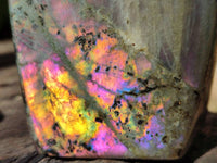 Polished Rare Purple Labradorite Standing Free Forms x 3 From Tulear, Madagascar