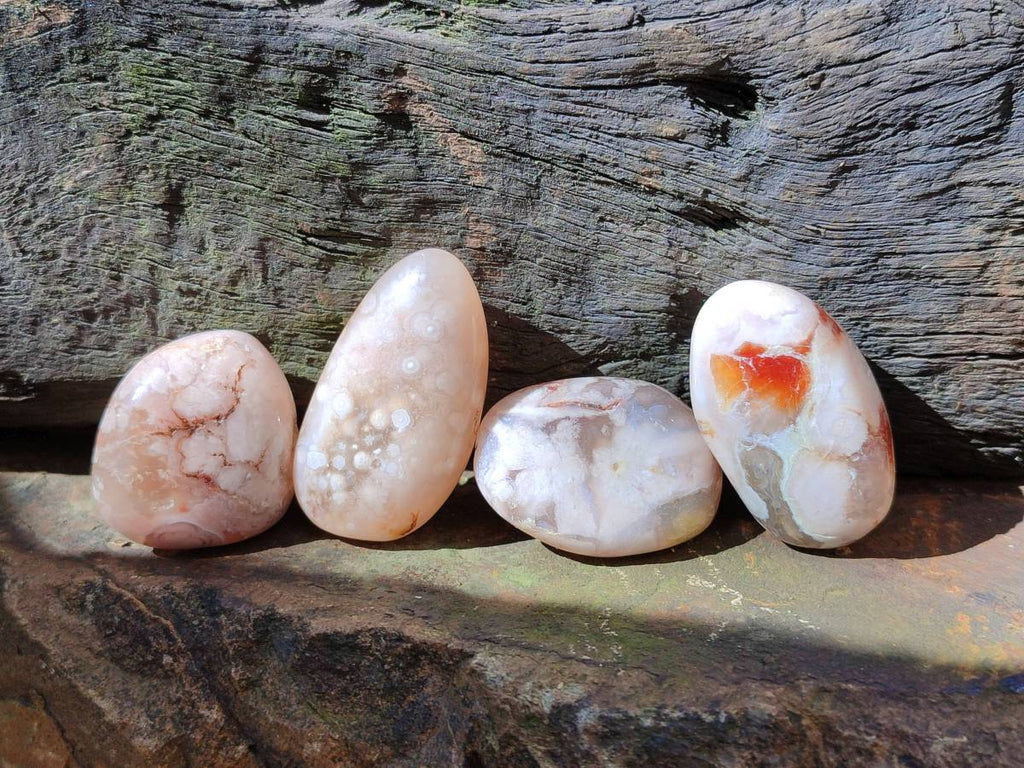 Polished Flower Agate Free Forms x 35 From Antsahalova, Madagascar - Toprock Gemstones and Minerals 