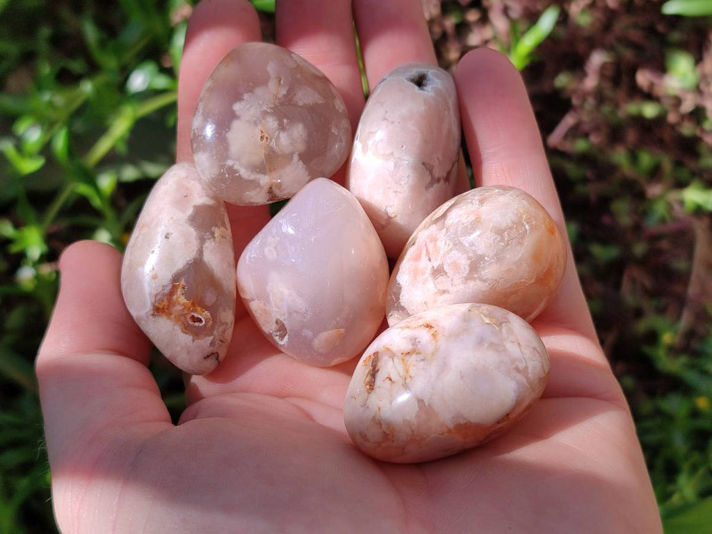Polished Flower Agate Free Forms x 35 From Antsahalova, Madagascar - Toprock Gemstones and Minerals 