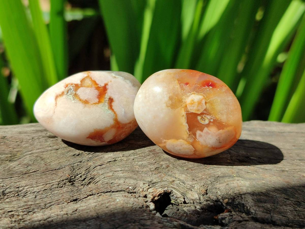 Polished Flower Agate Free Forms x 35 From Antsahalova, Madagascar - Toprock Gemstones and Minerals 