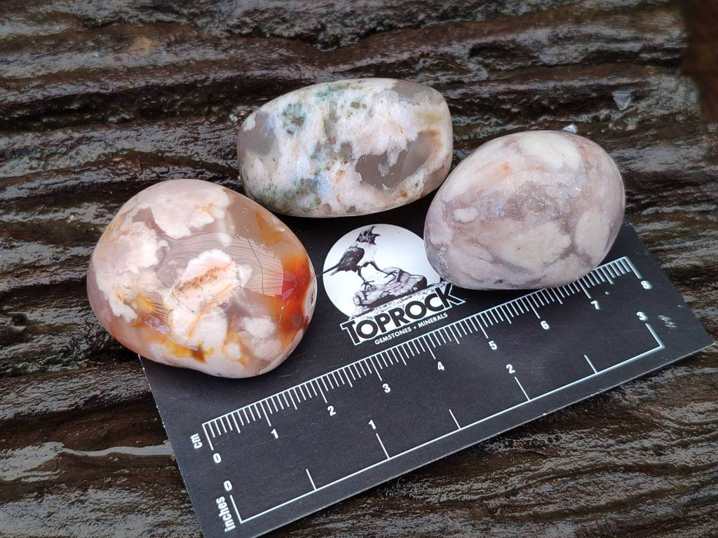 Polished Flower Agate Free Forms x 35 From Antsahalova, Madagascar - Toprock Gemstones and Minerals 