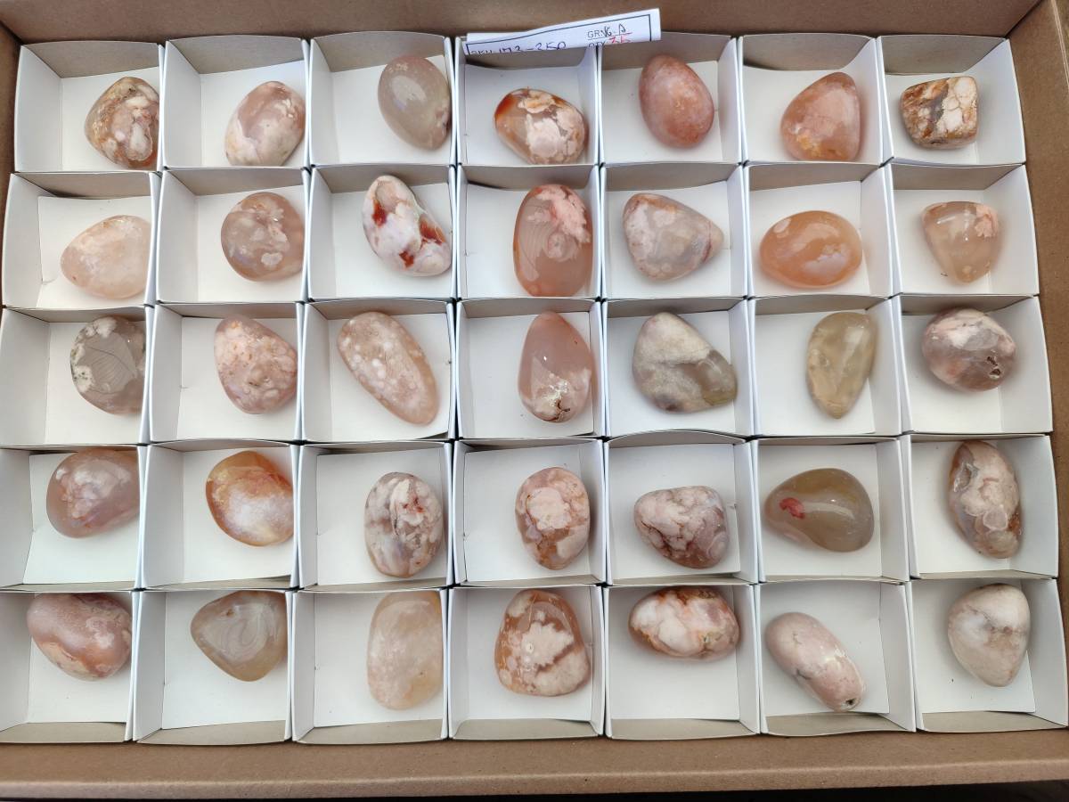 Polished Flower Agate Free Forms x 35 From Antsahalova, Madagascar - Toprock Gemstones and Minerals 