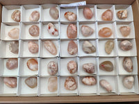 Polished Flower Agate Free Forms x 35 From Antsahalova, Madagascar