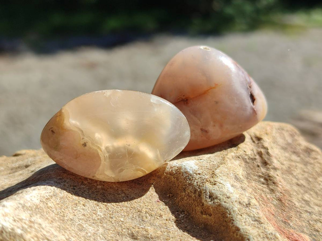 Polished Flower Agate Free Forms x 35 From Antsahalova, Madagascar - Toprock Gemstones and Minerals 