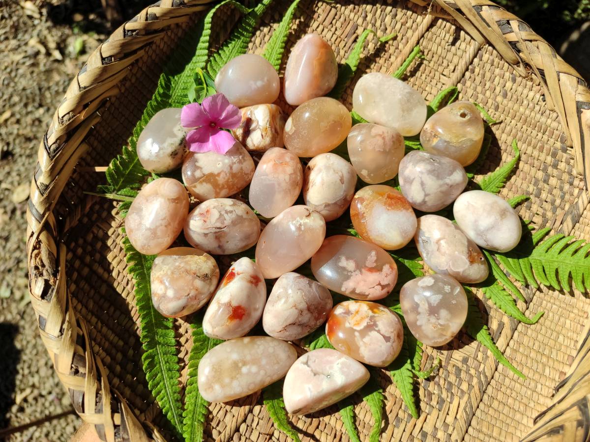 Polished Flower Agate Free Forms x 35 From Antsahalova, Madagascar - Toprock Gemstones and Minerals 