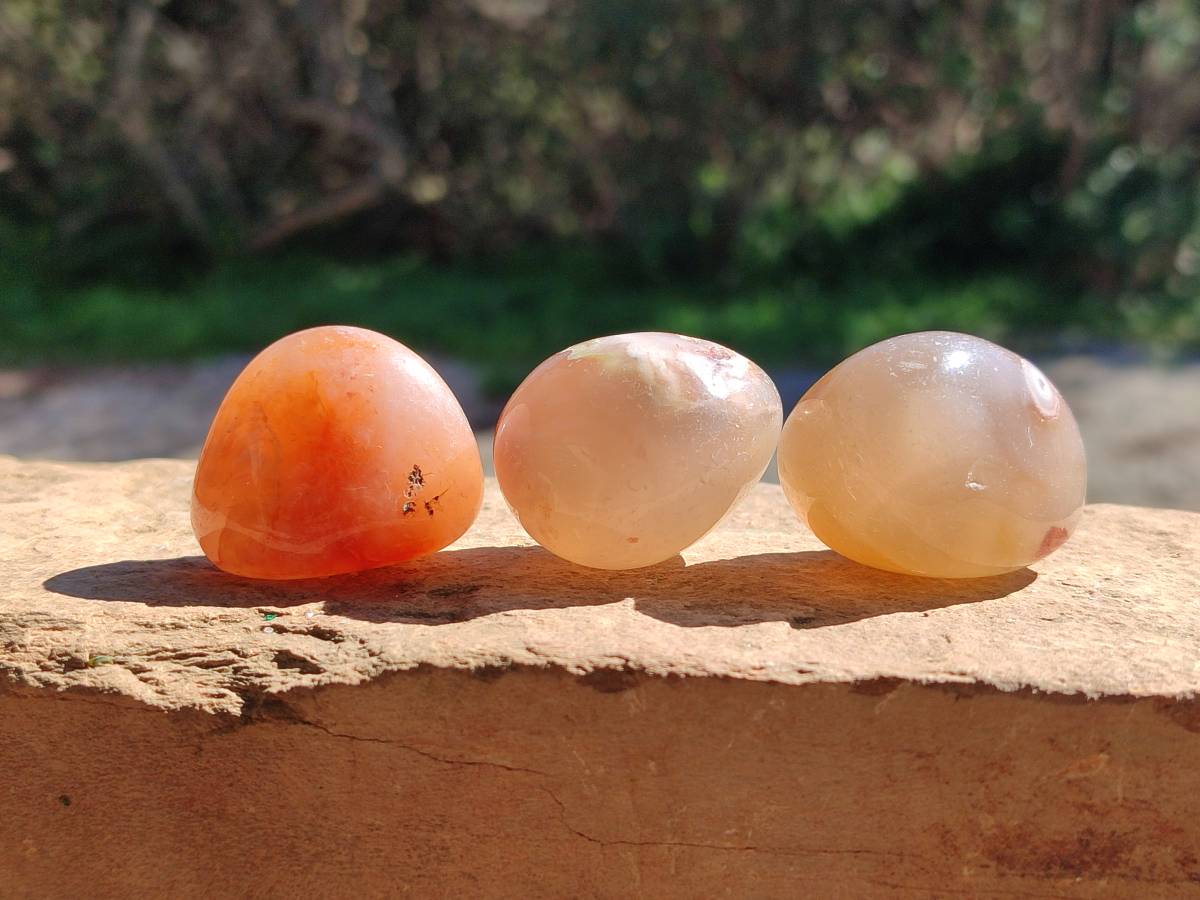 Polished Flower Agate Free Forms x 35 From Antsahalova, Madagascar - Toprock Gemstones and Minerals 