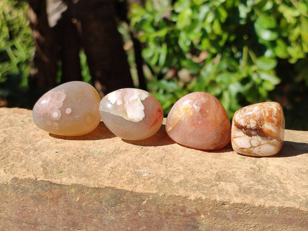 Polished Flower Agate Free Forms x 35 From Antsahalova, Madagascar - Toprock Gemstones and Minerals 