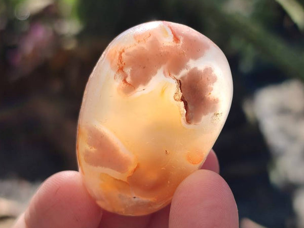 Polished Flower Agate Free Forms x 35 From Antsahalova, Madagascar