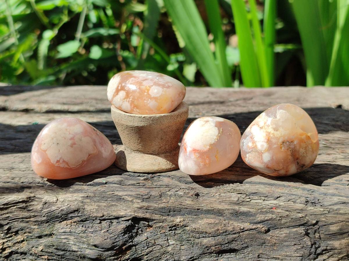 Polished Flower Agate Free Forms x 35 From Antsahalova, Madagascar - Toprock Gemstones and Minerals 