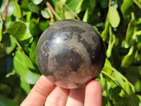 Polished Basalt Pharaoh Stone Spheres x 2 From Iron Duke Mine, Zimbabwe