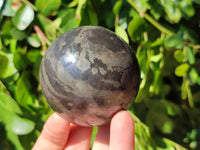 Polished Basalt Pharaoh Stone Spheres x 2 From Iron Duke Mine, Zimbabwe