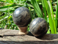 Polished Basalt Pharaoh Stone Spheres x 2 From Iron Duke Mine, Zimbabwe