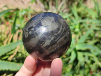 Polished Basalt Pharaoh Stone Spheres x 2 From Iron Duke Mine, Zimbabwe