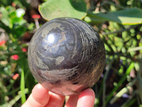 Polished Basalt Pharaoh Stone Spheres x 2 From Iron Duke Mine, Zimbabwe