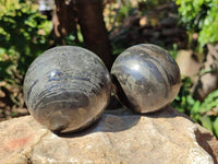 Polished Basalt Pharaoh Stone Spheres x 2 From Iron Duke Mine, Zimbabwe