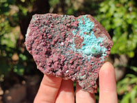 Natural Salrose Cobaltion Dolomite with Chrysocolla , Malachite , Heterogenite & Kaolinite Specimens x 12 From Kakanda, Congo