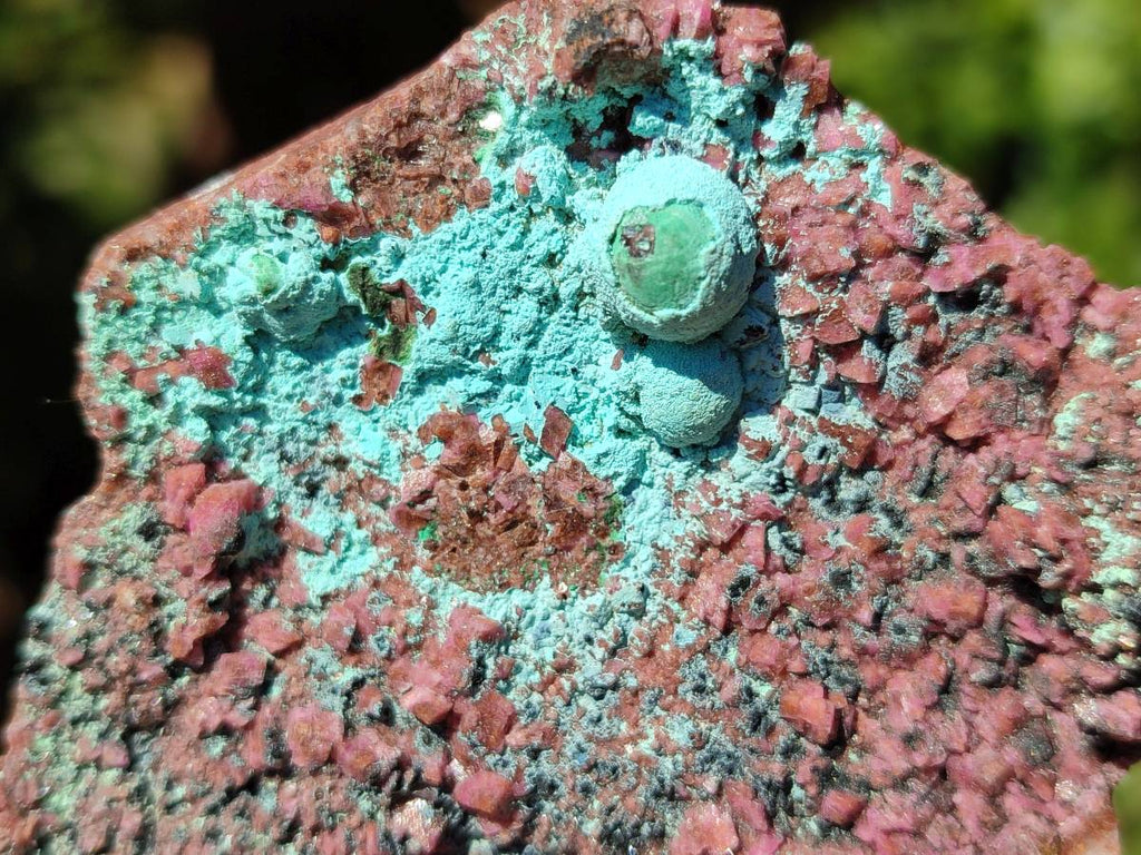 Natural Salrose Cobaltion Dolomite with Chrysocolla , Malachite , Heterogenite & Kaolinite Specimens x 12 From Kakanda, Congo - Toprock Gemstones and Minerals 