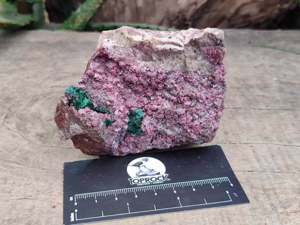 Natural Salrose Cobaltion Dolomite with Chrysocolla , Malachite , Heterogenite & Kaolinite Specimens x 12 From Kakanda, Congo - Toprock Gemstones and Minerals 