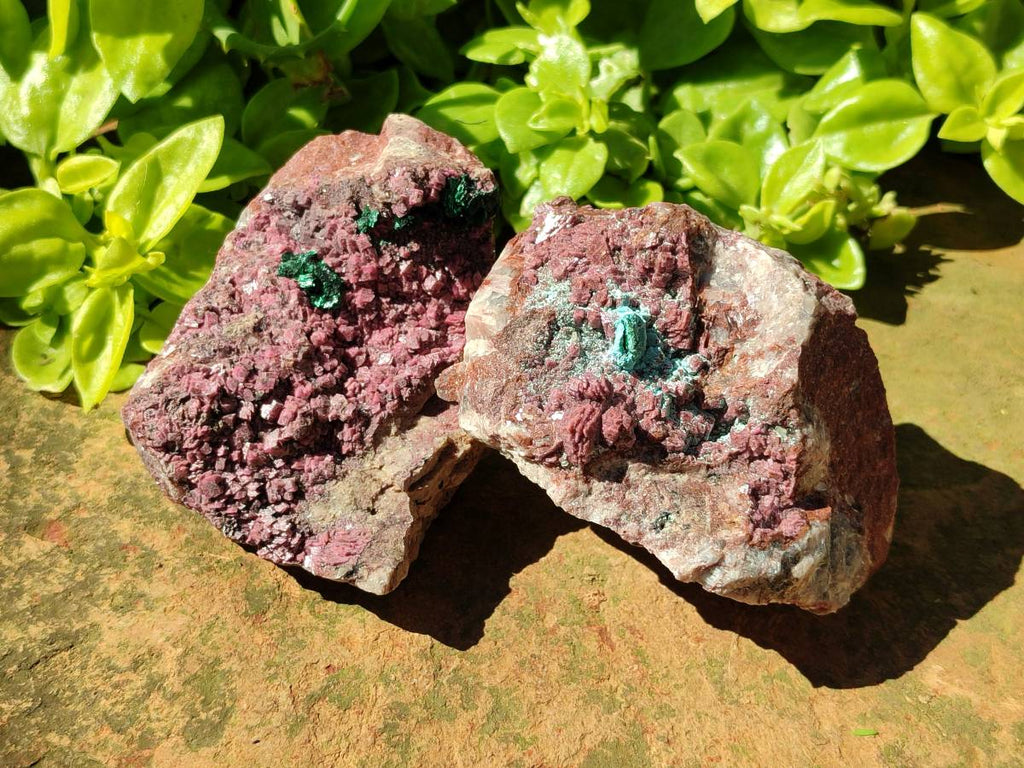 Natural Salrose Cobaltion Dolomite with Chrysocolla , Malachite , Heterogenite & Kaolinite Specimens x 12 From Kakanda, Congo - Toprock Gemstones and Minerals 