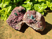 Natural Salrose Cobaltion Dolomite with Chrysocolla , Malachite , Heterogenite & Kaolinite Specimens x 12 From Kakanda, Congo