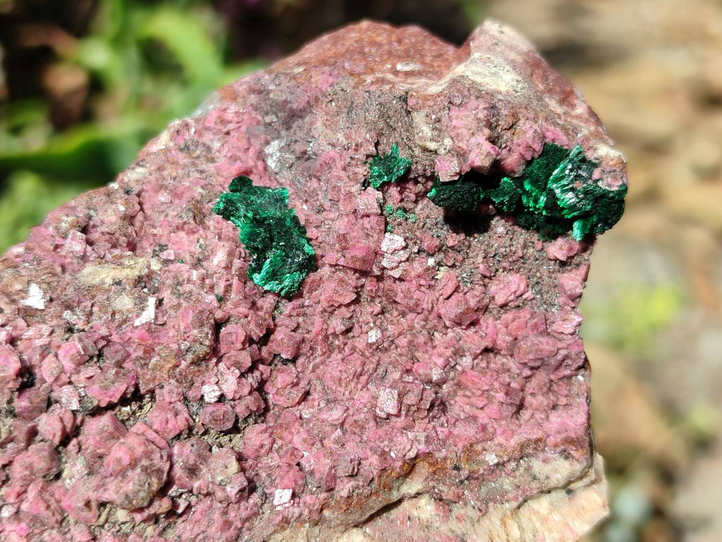 Natural Salrose Cobaltion Dolomite with Chrysocolla , Malachite , Heterogenite & Kaolinite Specimens x 12 From Kakanda, Congo - Toprock Gemstones and Minerals 