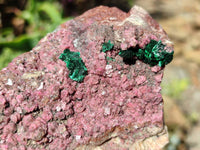 Natural Salrose Cobaltion Dolomite with Chrysocolla , Malachite , Heterogenite & Kaolinite Specimens x 12 From Kakanda, Congo