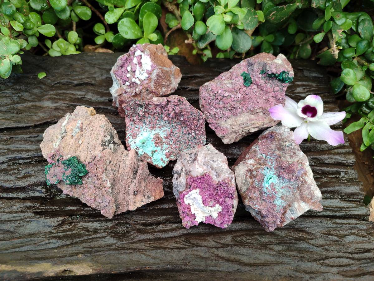 Natural Salrose Cobaltion Dolomite with Chrysocolla , Malachite , Heterogenite & Kaolinite Specimens x 12 From Kakanda, Congo - Toprock Gemstones and Minerals 