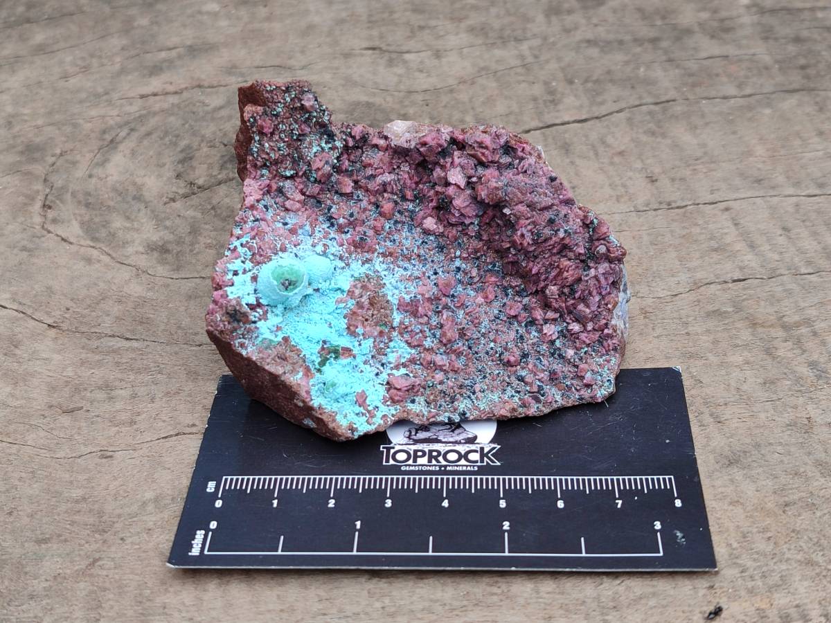 Natural Salrose Cobaltion Dolomite with Chrysocolla , Malachite , Heterogenite & Kaolinite Specimens x 12 From Kakanda, Congo - Toprock Gemstones and Minerals 