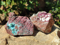 Natural Salrose Cobaltion Dolomite with Chrysocolla , Malachite , Heterogenite & Kaolinite Specimens x 12 From Kakanda, Congo