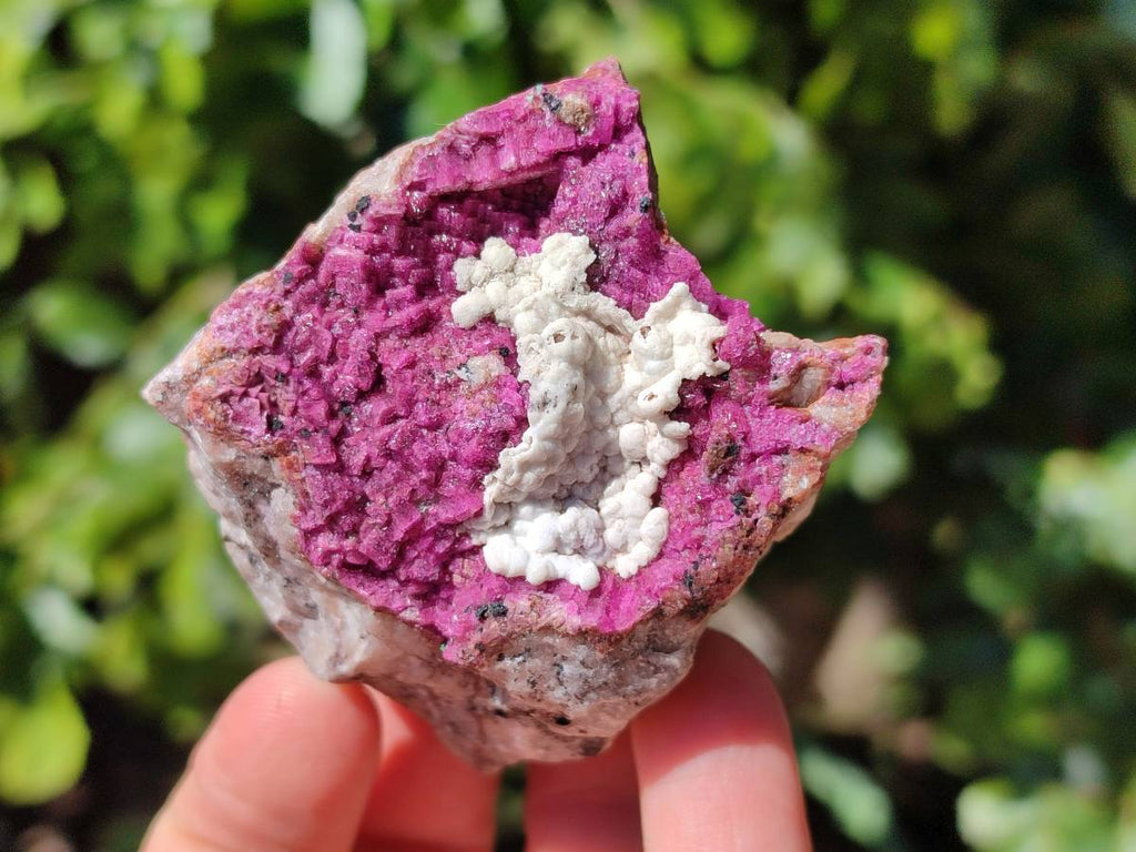 Natural Salrose Cobaltion Dolomite with Chrysocolla , Malachite , Heterogenite & Kaolinite Specimens x 12 From Kakanda, Congo - Toprock Gemstones and Minerals 