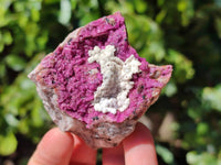 Natural Salrose Cobaltion Dolomite with Chrysocolla , Malachite , Heterogenite & Kaolinite Specimens x 12 From Kakanda, Congo