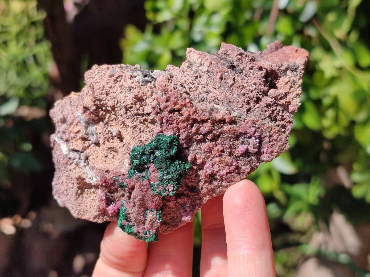 Natural Salrose Cobaltion Dolomite with Chrysocolla , Malachite , Heterogenite & Kaolinite Specimens x 12 From Kakanda, Congo - Toprock Gemstones and Minerals 